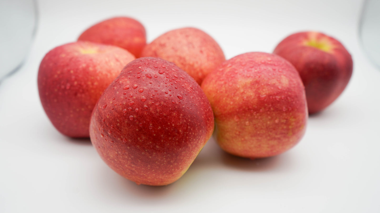 富士リンゴチップス